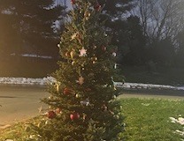 2025-Tree-Lighting-1