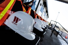 5195e799a22283c7a4134f2b16784272