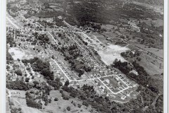 Olivia-Ave-1955