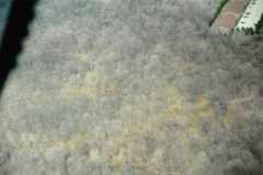 Devou-Village-2