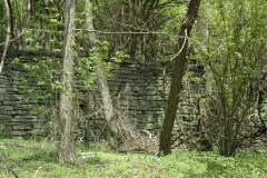 DSC_8758