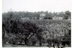 field