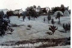 viewofproperty2
