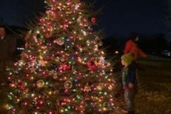 Tree1