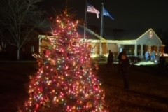 Tree2