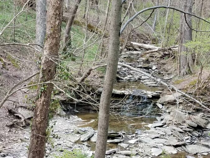creek