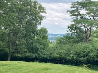 overlook through the trees