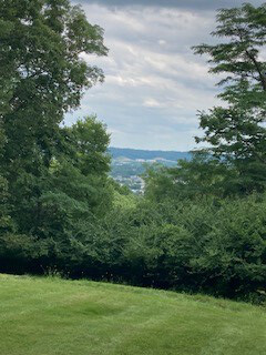 overlook through the trees