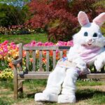 The Easter Bunny is Coming to Fort Wright!