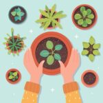 Garden Club – Spring Plant Sale & Swap